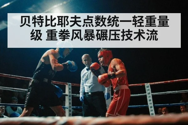 boxing match crowd
